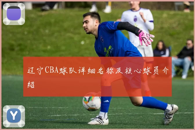 辽宁CBA球队详细名称及核心球员介绍