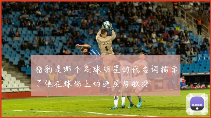 猎豹是哪个足球明星的代名词揭示了他在球场上的速度与敏捷