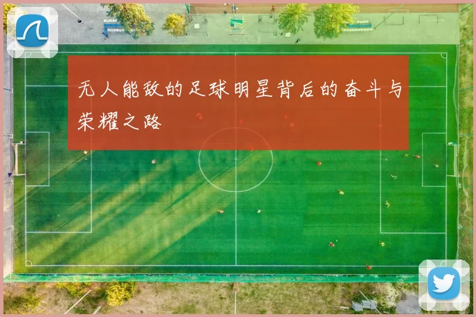 无人能敌的足球明星背后的奋斗与荣耀之路