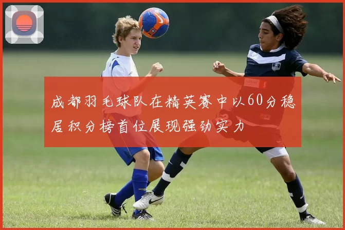 成都羽毛球队在精英赛中以60分稳居积分榜首位展现强劲实力