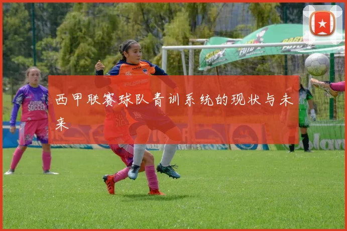 西甲联赛球队青训系统的现状与未来