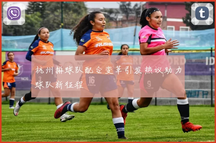 杭州排球队配合变革引发热议助力球队新征程