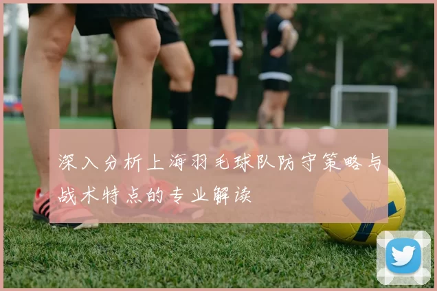 深入分析上海羽毛球队防守策略与战术特点的专业解读