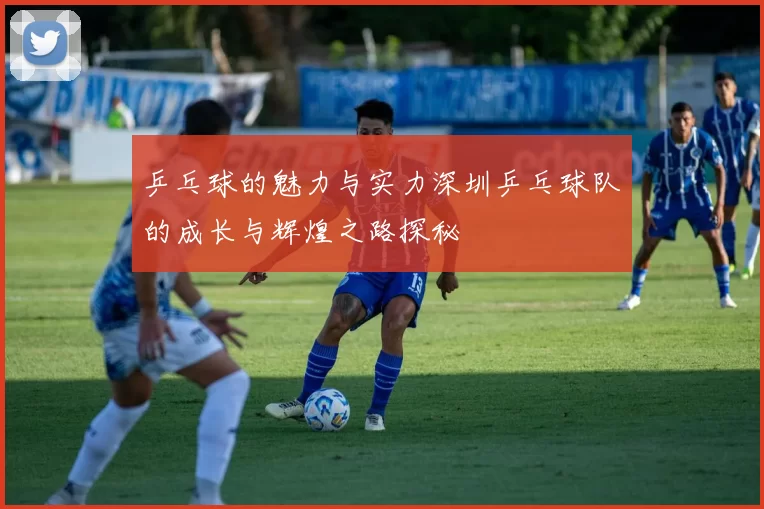 乒乓球的魅力与实力深圳乒乓球队的成长与辉煌之路探秘