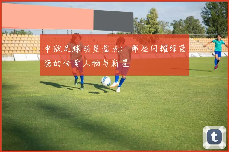 中欧足球明星盘点：那些闪耀绿茵场的传奇人物与新星