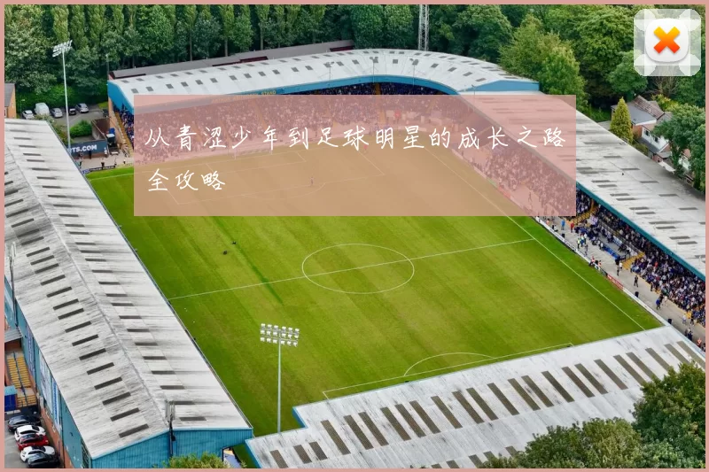 从青涩少年到足球明星的成长之路全攻略