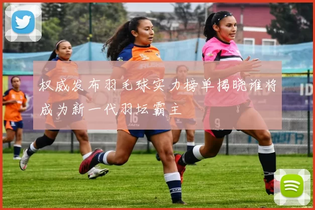 权威发布羽毛球实力榜单揭晓谁将成为新一代羽坛霸主