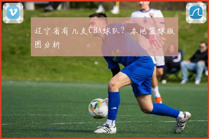 辽宁省有几支CBA球队？本地篮球版图分析