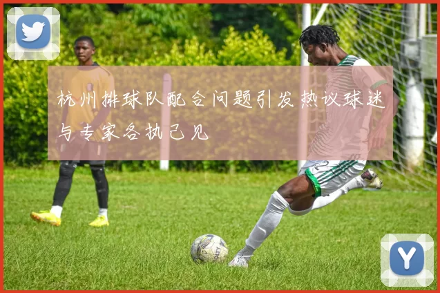 杭州排球队配合问题引发热议球迷与专家各执己见
