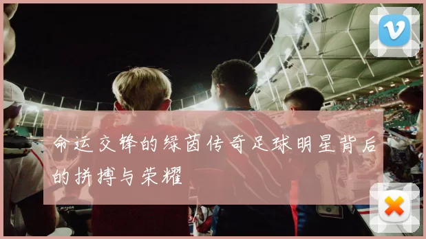 命运交锋的绿茵传奇足球明星背后的拼搏与荣耀