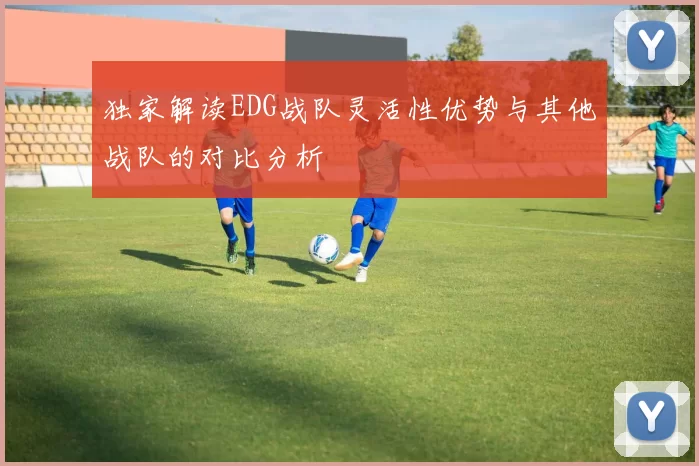 独家解读EDG战队灵活性优势与其他战队的对比分析